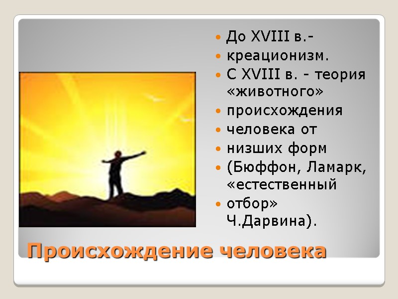 Происхождение человека До XVIII в.-  креационизм. С XVIII в. - теория «животного» 